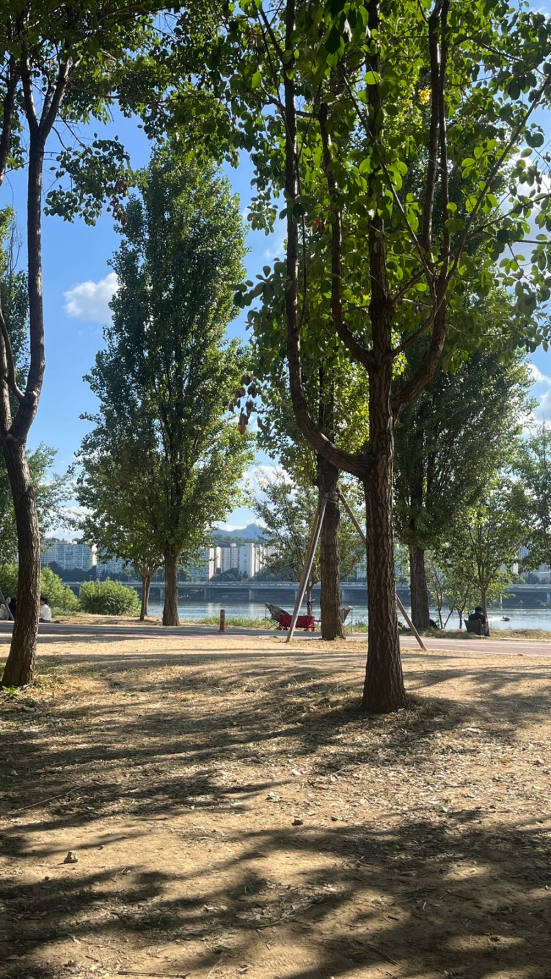 [Ichon Hangang Park Picnic] Best Picnic Spots at Ichon Hangang Park to Visit Before It Gets Colder | Yongsan Takeout Restaurants