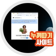 누끼따기 사이트 무료 리무브BG 사진 배경지우기 방법 REMOVE.BG 주의사항은?