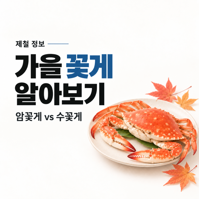 가을 꽃게 제철｜암꽃게·수꽃게 차이, 10월엔 뭐가 맛있을까?