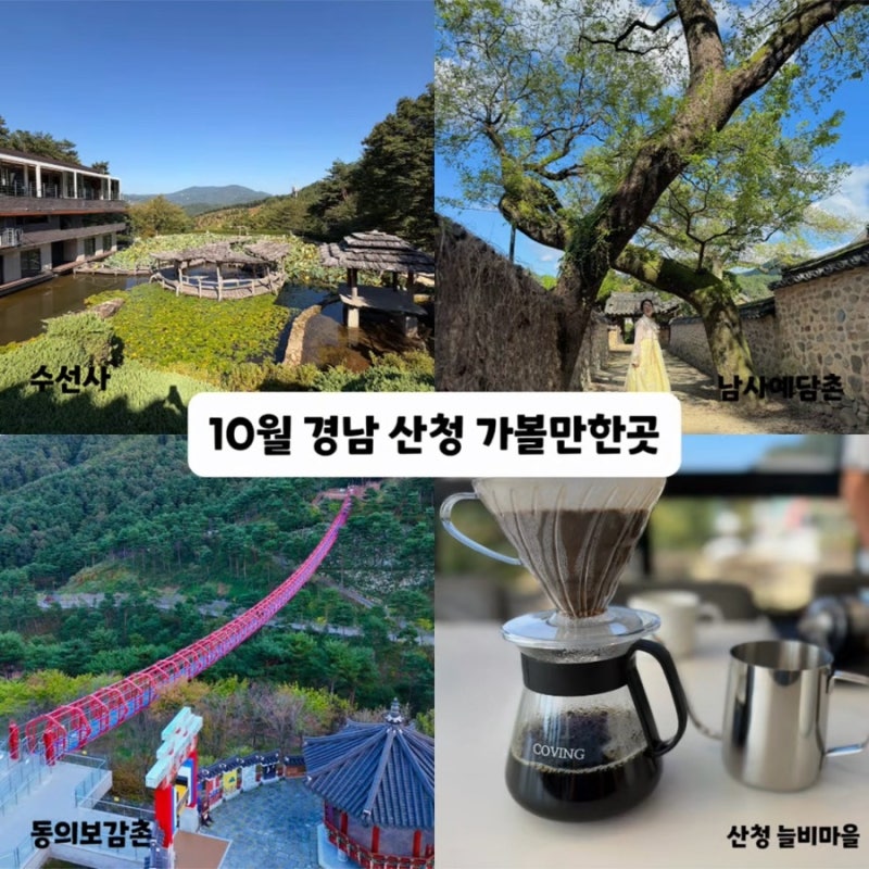 10월 경남 여행 산청 늘비마을 동의보감촌 수선사 가볼만한곳
