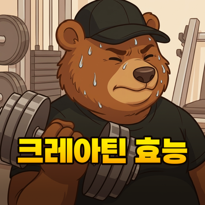 크레아틴 효과와 부작용, 매일 얼마나 먹어야 할까?