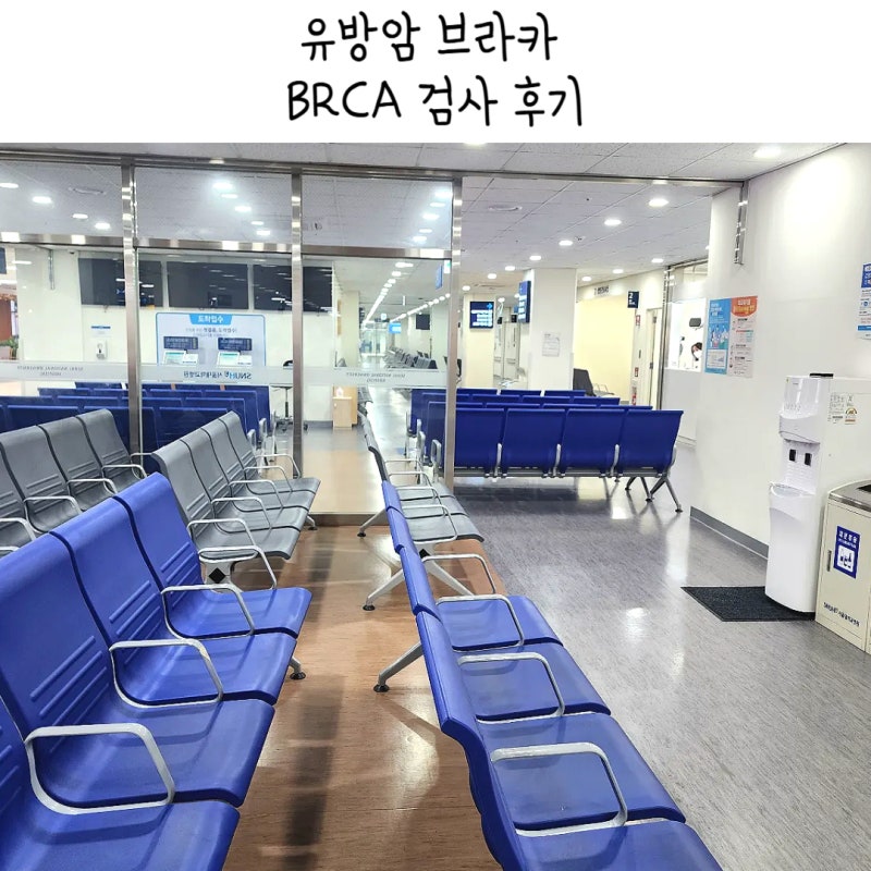 서울대병원 유방암 브라카 검사 후기 BRCA 유전자검사 과정과 음성 결과