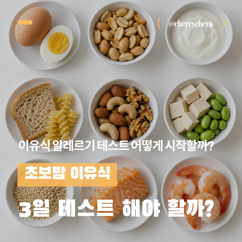 이유식 알레르기 테스트, 언제부터 시작할까?
