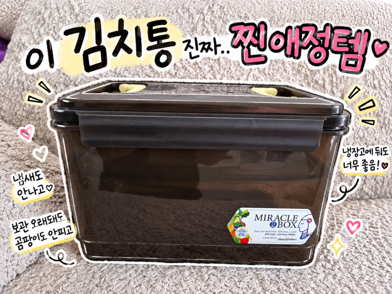 김치냉장고 없이 김장김치 보관, 1년째 쓰는 미라네주방 김치통