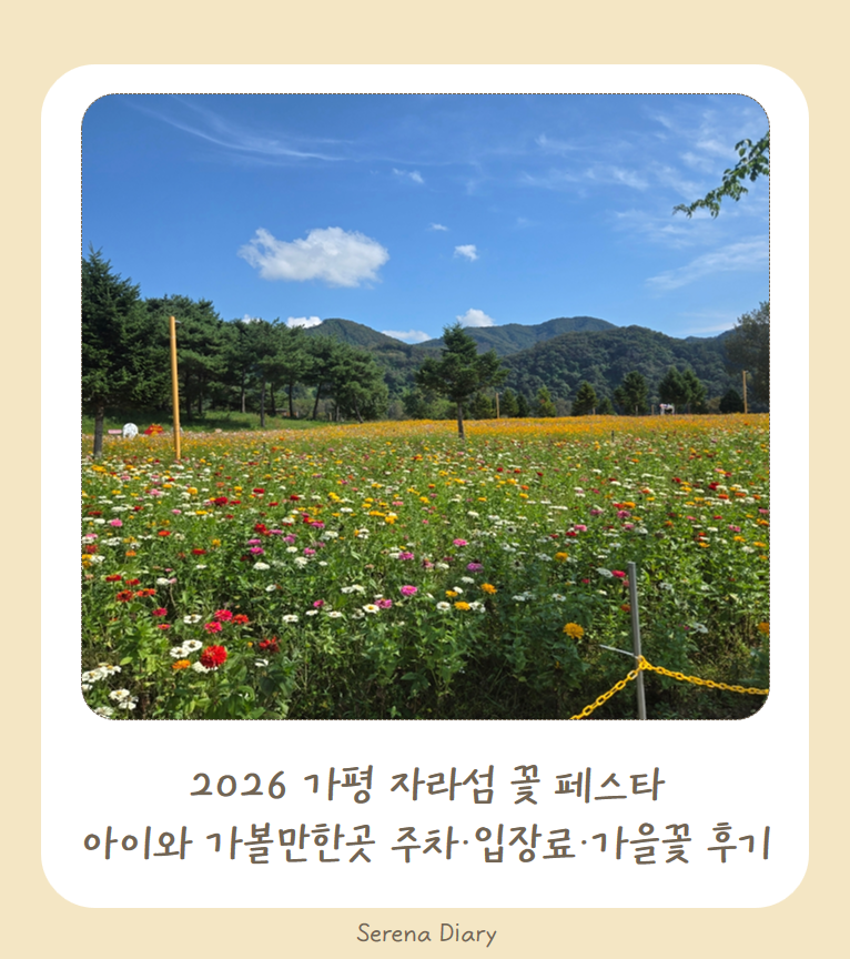 2026 가평 자라섬 꽃 페스타｜아이와 가볼만한곳 주차·입장료·가을꽃 후기