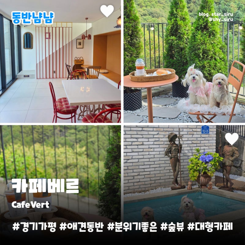 가평애견동반 카페베르 | 분위기 좋은 4층 대형 규모 숲뷰 베이글 맛집