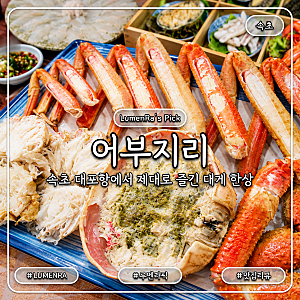 속초 대게 맛집 어부지리 대포항 대게 회 세트 푸짐하게 먹은 후기