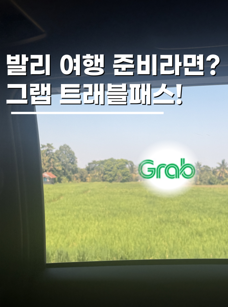 발리 여행준비물 그랩 트래블패스 솔직후기 12,000루피아