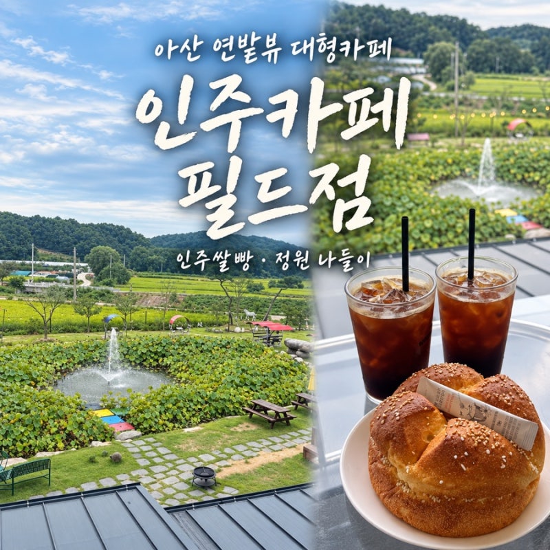 아산 대형카페 인주카페 필드점｜인주쌀빵·연밭뷰 아이와 가볼만한곳