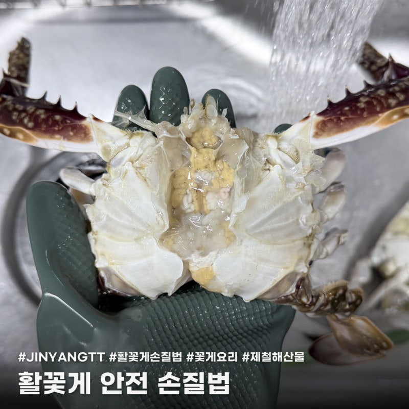 활꽃게 손질법, 물리지 않고 안전하게 손질하는 법