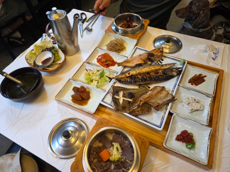 9월 가을 강릉 1박2일 애견동반 여행 코스
