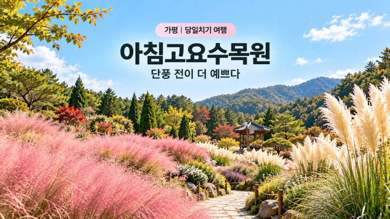 아침고요수목원, 단풍 전이 더 예쁘다 | 지금 볼 꽃은 뭐