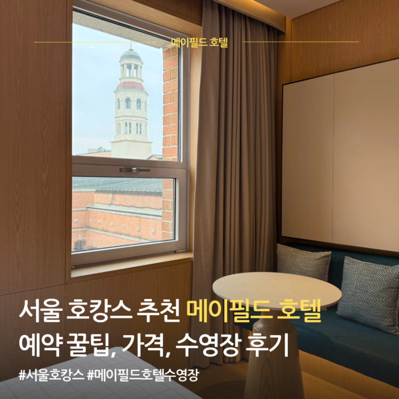 Mayfield Hotel Seoul Ho-Cance Review: Swimming Pool and Standard Twin Room
