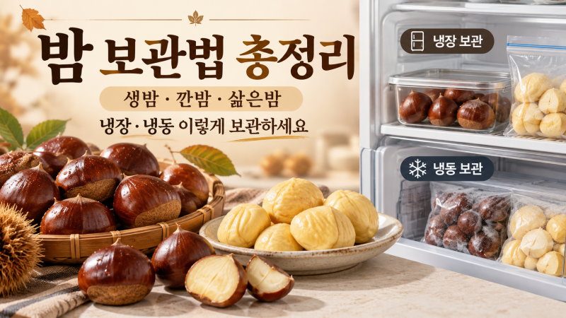 밤 보관법 총정리 / 생밤·깐밤·삶은밤 냉장·냉동 오래 보관하는 방법