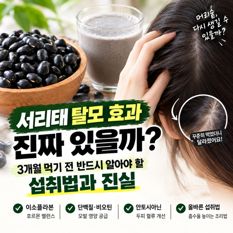 서리태 탈모 효과 진짜 있을까? 3개월 먹기 전 반드시 알아야 할 섭취법과 진실