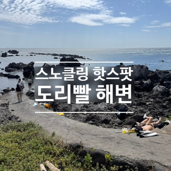 제주 중문 스노클링 명소 도리빨해변 | 주차·입구 찾는 법·물때까지 한 번에 정리