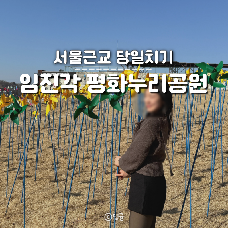 파주 가볼만한곳 임진각 평화누리공원 바람개비가 가득한 바람의 언덕