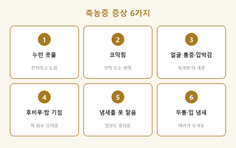 축농증 증상, 코감기인 줄 알았는데 오래간다면? 차이와 코세척 방법까지