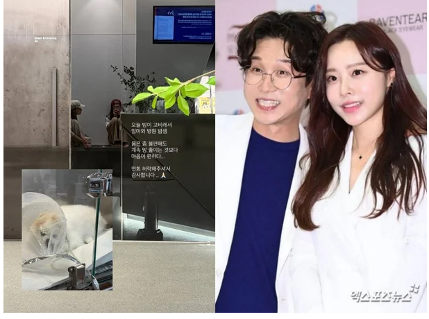 ♥박성광 어디 갔나…"오늘 밤이 고비" 이솔이, '심장병' 반려견 곁 밤샘 [★해시태그]