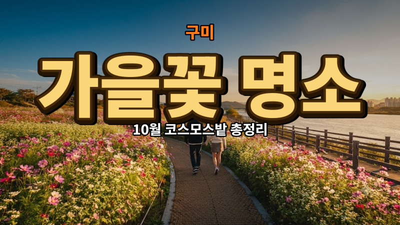 구미가볼만한곳 10월에 꼭 가봐야 할 가을꽃 명소와 코스모스 밭 위치