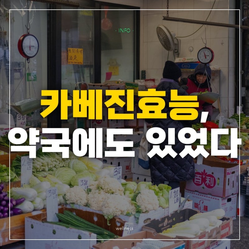 "일본 가면 꼭 사 오라던" 카베진효능은 알고 보니 장이 아니라 위에 쓰는 약