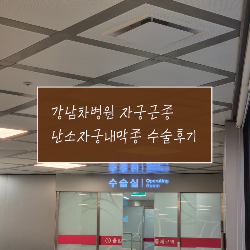 강남차병원 자궁근종,난소혹(자궁내막종) 수술 후기( 수술 ~ D+1) 통증언제까지?
