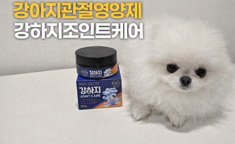 강아지 관절영양제 후기 슬개골 걱정 덜어주는 강하지 조인트 케어