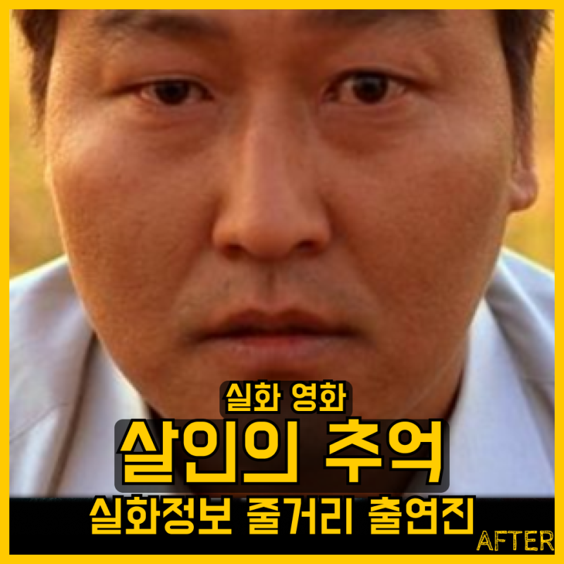 살인의추억 결말 정보 줄거리 출연진 실화 봉준호 송강호 김상경 박해일 러닝타임 관람등급 ....