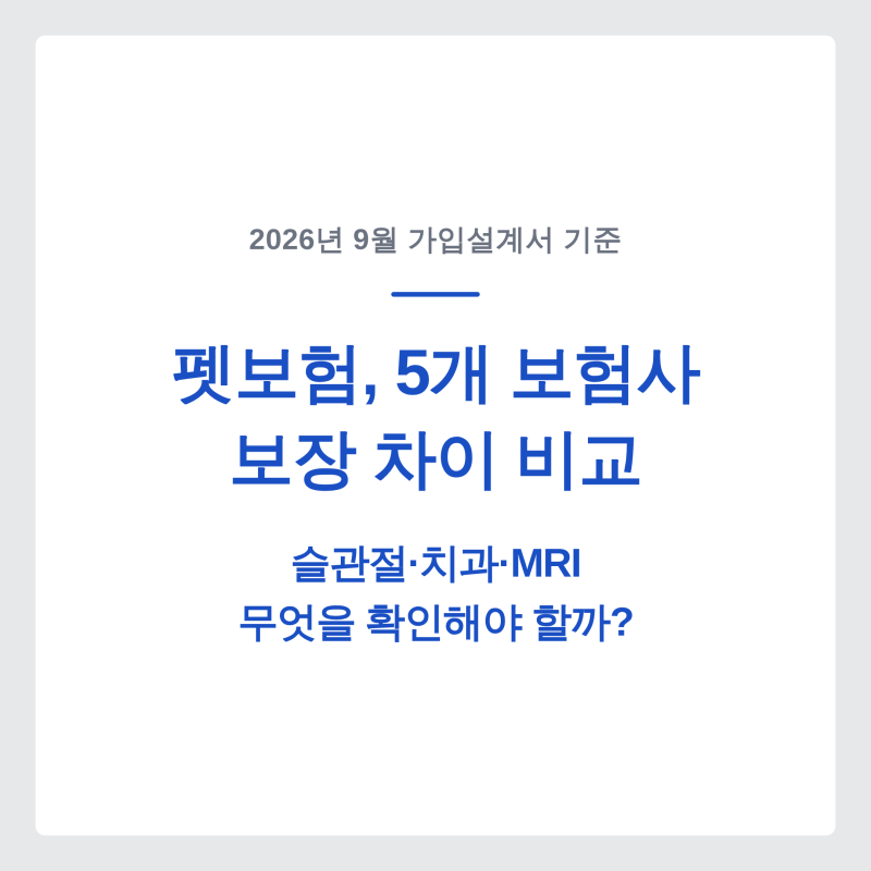 펫보험 비교, 5개 보험사 가입설계서로 본 보장 차이｜슬관절·치과·MRI 무엇을 확인해야 할....