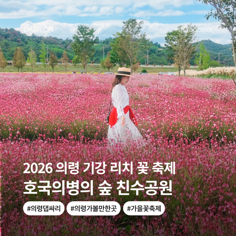 의령 가볼만한곳 기강 리치 꽃축제 호국의병의 숲 개화상황, 리치리치 페스티벌