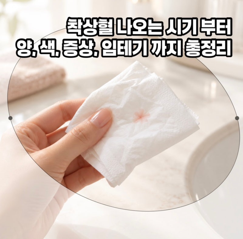 착상혈 나오는 시기와 양, 색, 증상, 임테기 시점 총정리