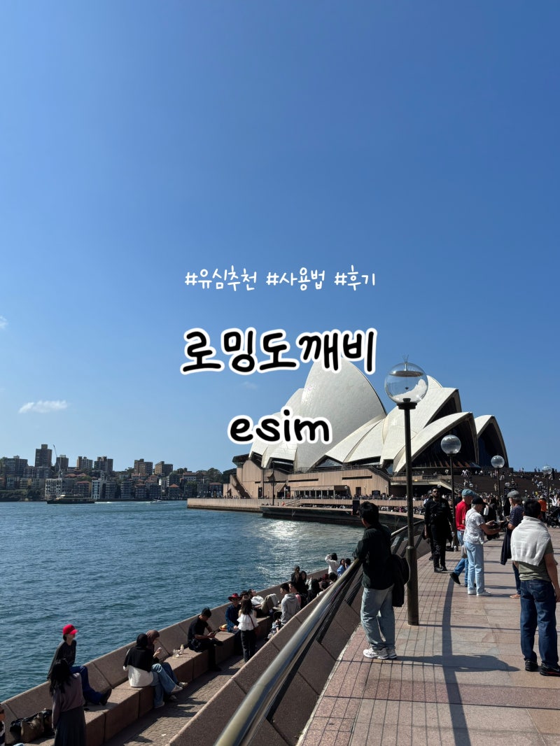 호주 베트남 여행 준비물 이심 추천 사용법, 로밍도깨비 무제한 후기