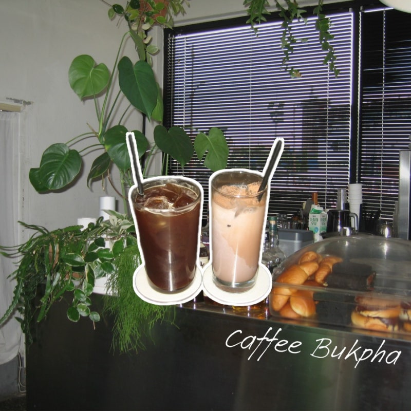 진주 카페 북파(Bukpha) 후기 | 진주에 이렇게 힙한 카페가 있다니 | 캐논 익시600 작례