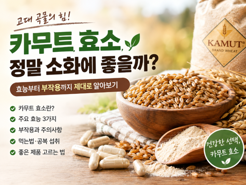 캡슐레이션효소 먹기 전에 꼭 알아야 할 7가지