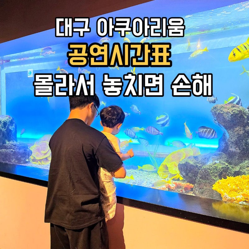 대구 아기랑 가볼 만한 곳 고민 끝, 23개월 아기와 대구 신세계 아쿠아리움