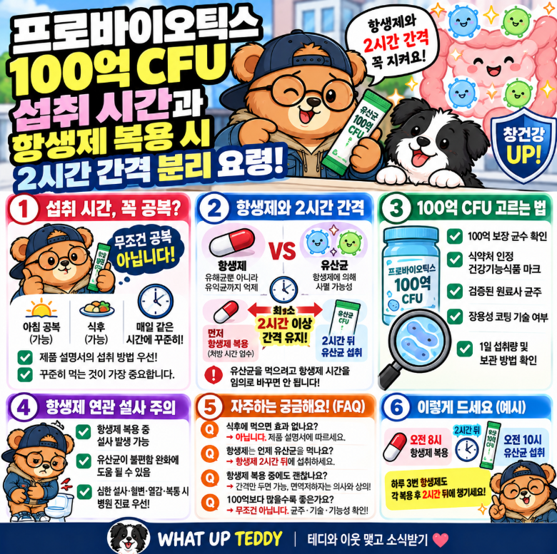 프로바이오틱스 100억 CFU 섭취 시간과 항생제 복용 시 2시간 간격 분리 요령
