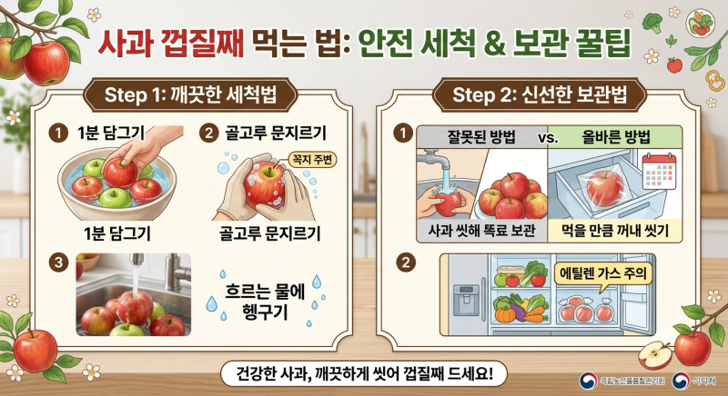 [건강 정보] 농약 걱정 끝! 사과 껍질째 안전하게 먹는 완벽 세척 & 보관법