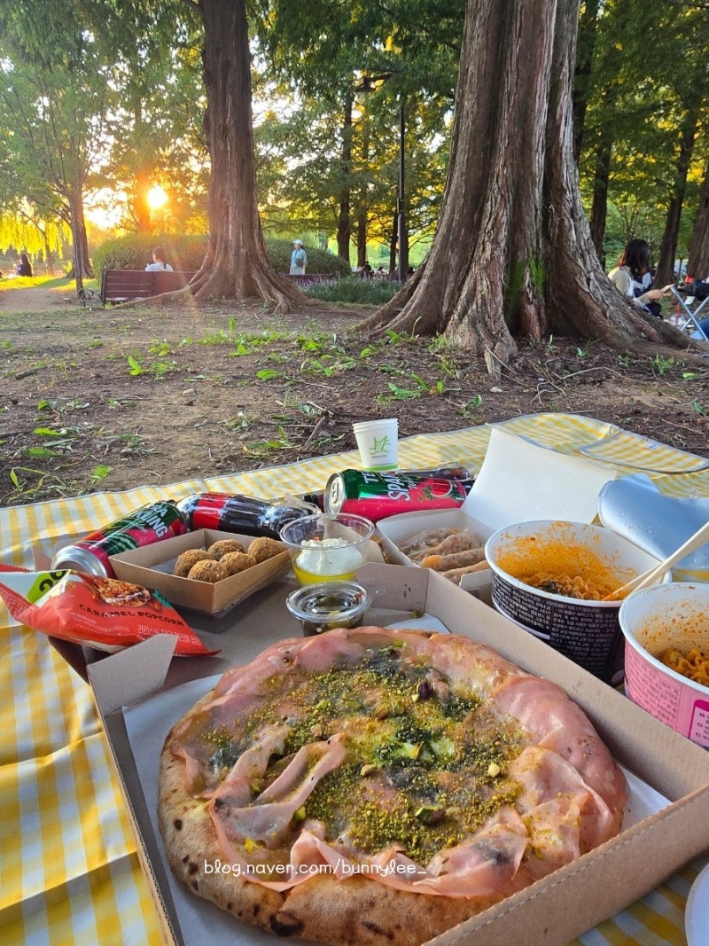 일산, 정발산역 l 일산대표맛집 포폴로피자 평일 포장 후기 & 일산호수공원 가을 피크닉