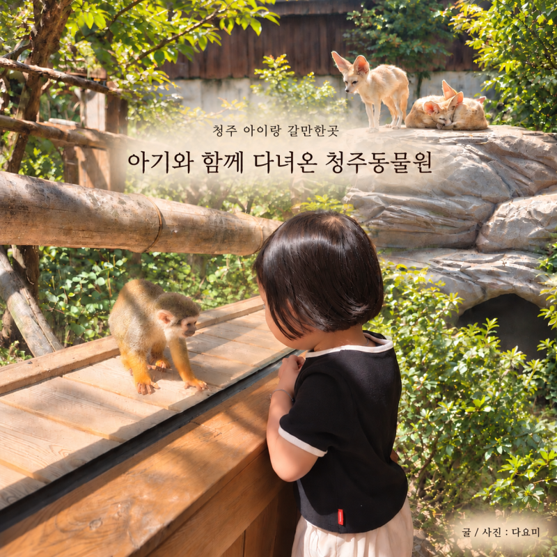 청주 아기랑 갈만한곳 아기와 함께 다녀온 청주동물원