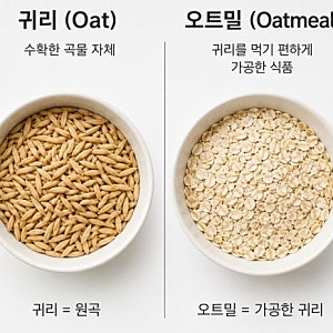다이어트 아침밥으로 먹으면 살빠지는 음식 4가지와 체중 감량 효과