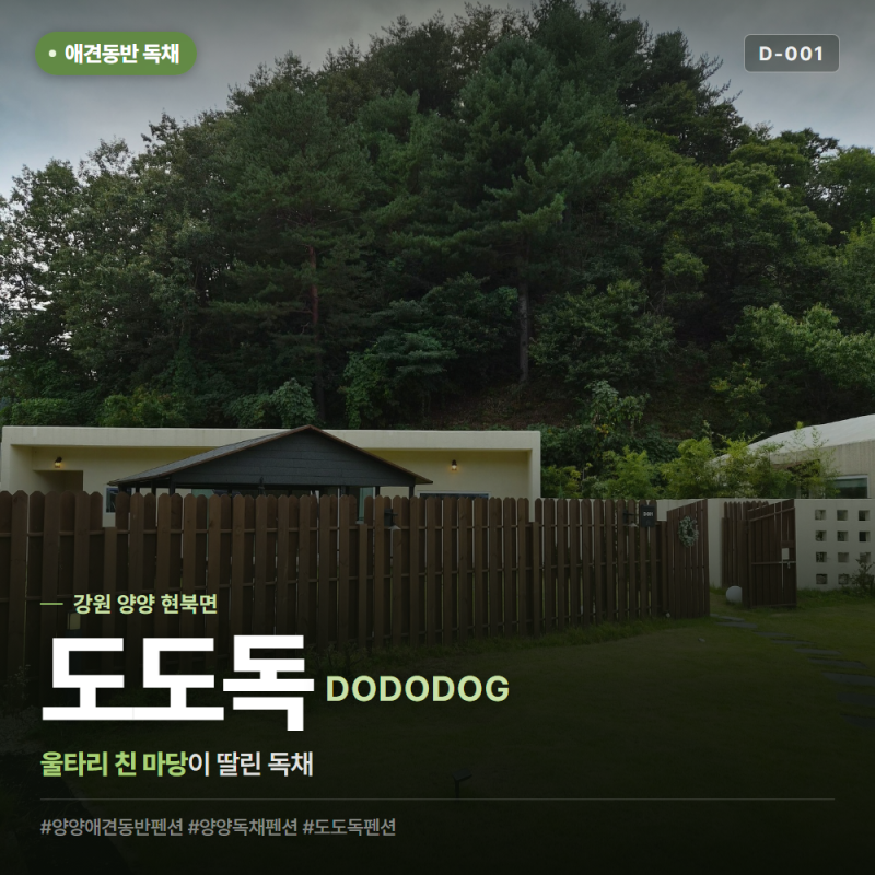 양양 애견동반펜션 도도독 마당 딸린 독채 후기