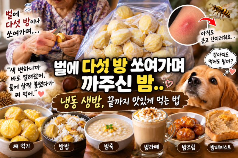 벌에 다섯 방 쏘여가며 까주신 햇 밤…냉동 생밤, 끝까지 맛있게 먹는 법(feat. 병원 꼭 가야할....