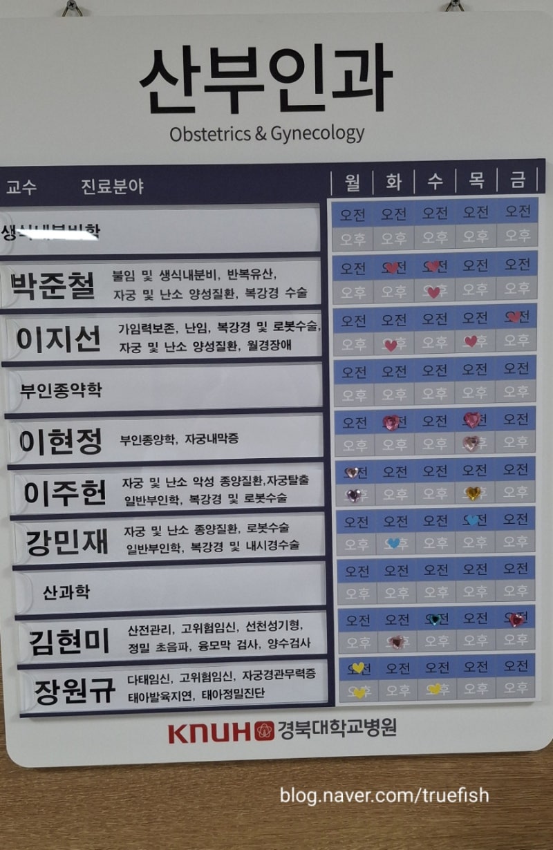 자궁근종수술기2-MRI검사, 다빈치로봇수술로 결정