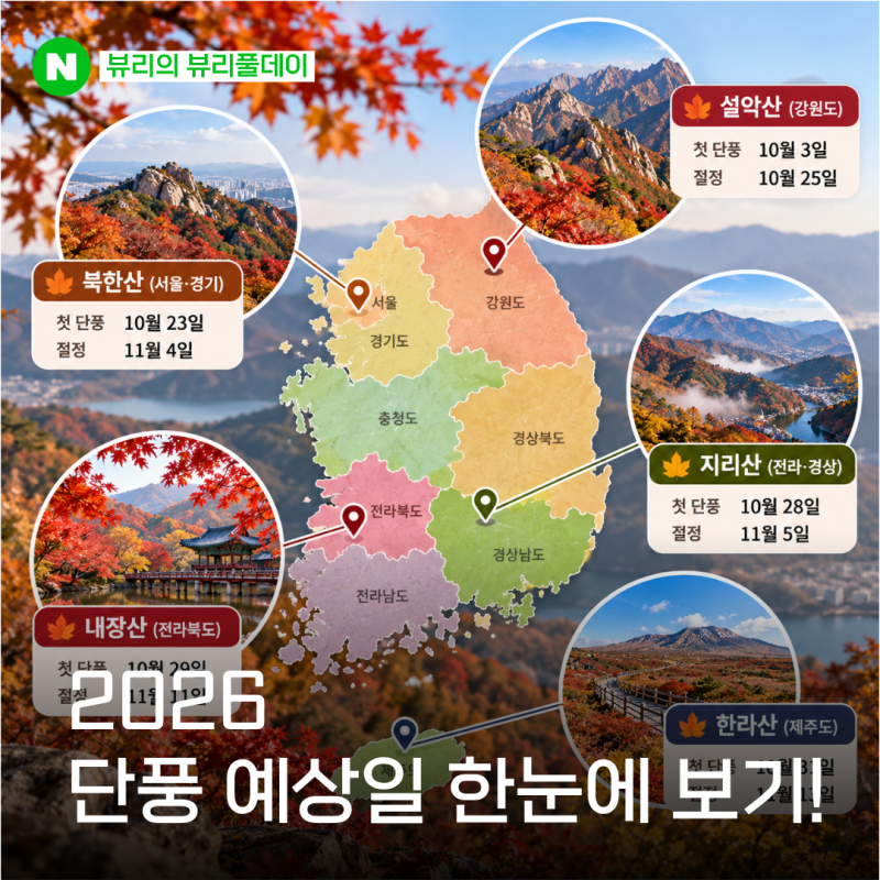 2026 단풍 예상일 나왔다! 10,11월 가을여행 어디로 갈까