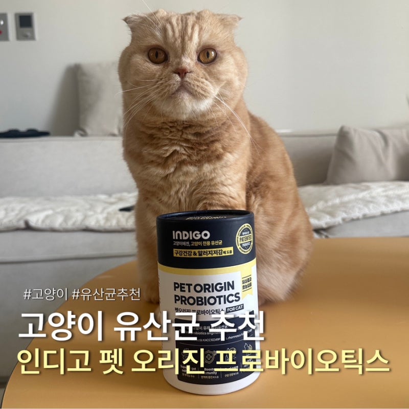 고양이 유산균 추천 장 건강에 도움 주는 반려묘 프로바이오틱스 인디고 펫오리진 솔직 후기