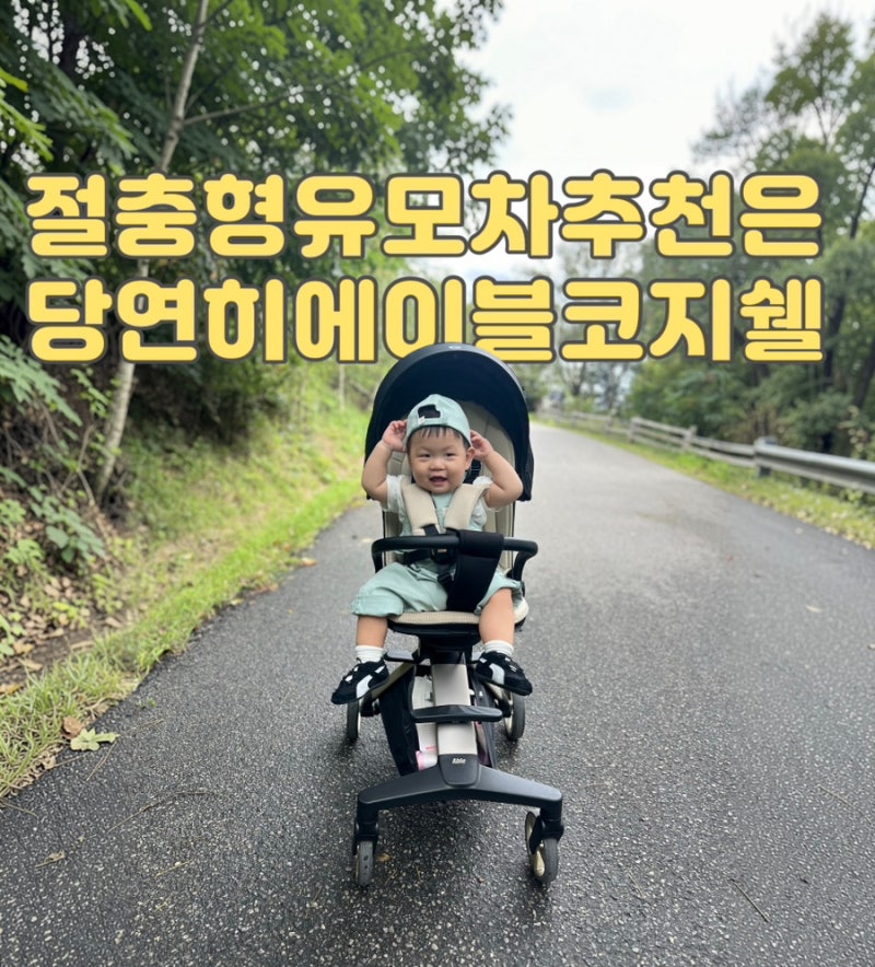 절충형 유모차 추천 고민 중이라면? 에이블코지쉘 외출 3달 실사용 후기 사진 백만장