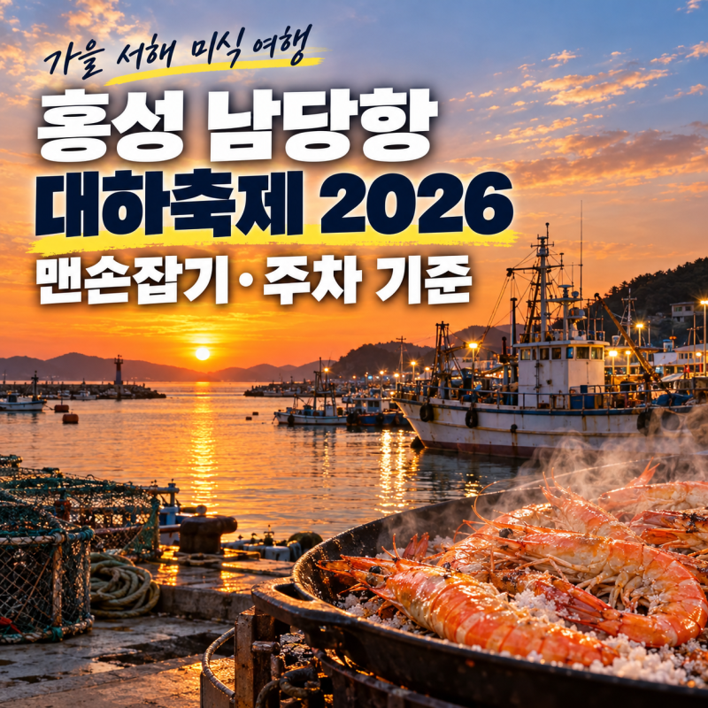 홍성 남당항 대하축제 2026, 맨손잡기 체험 시간과 주차 기준