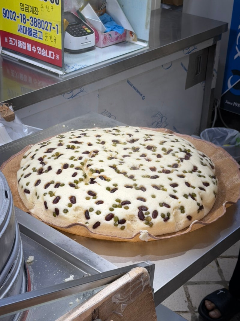 [강원도/속초] 속초중앙시장 맛집 내돈내산 솔직후기 | 우리분식, 중앙닭강정, 강원도막걸리....