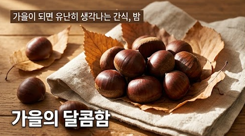 "밤이 다이어트에 좋다고?" 먹기 전에 알아야 할 밤 효능과 칼로리