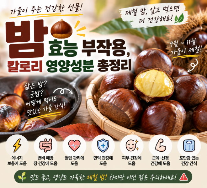 밤 효능부터 칼로리, 영양성분, 부작용까지 한눈에 총정리